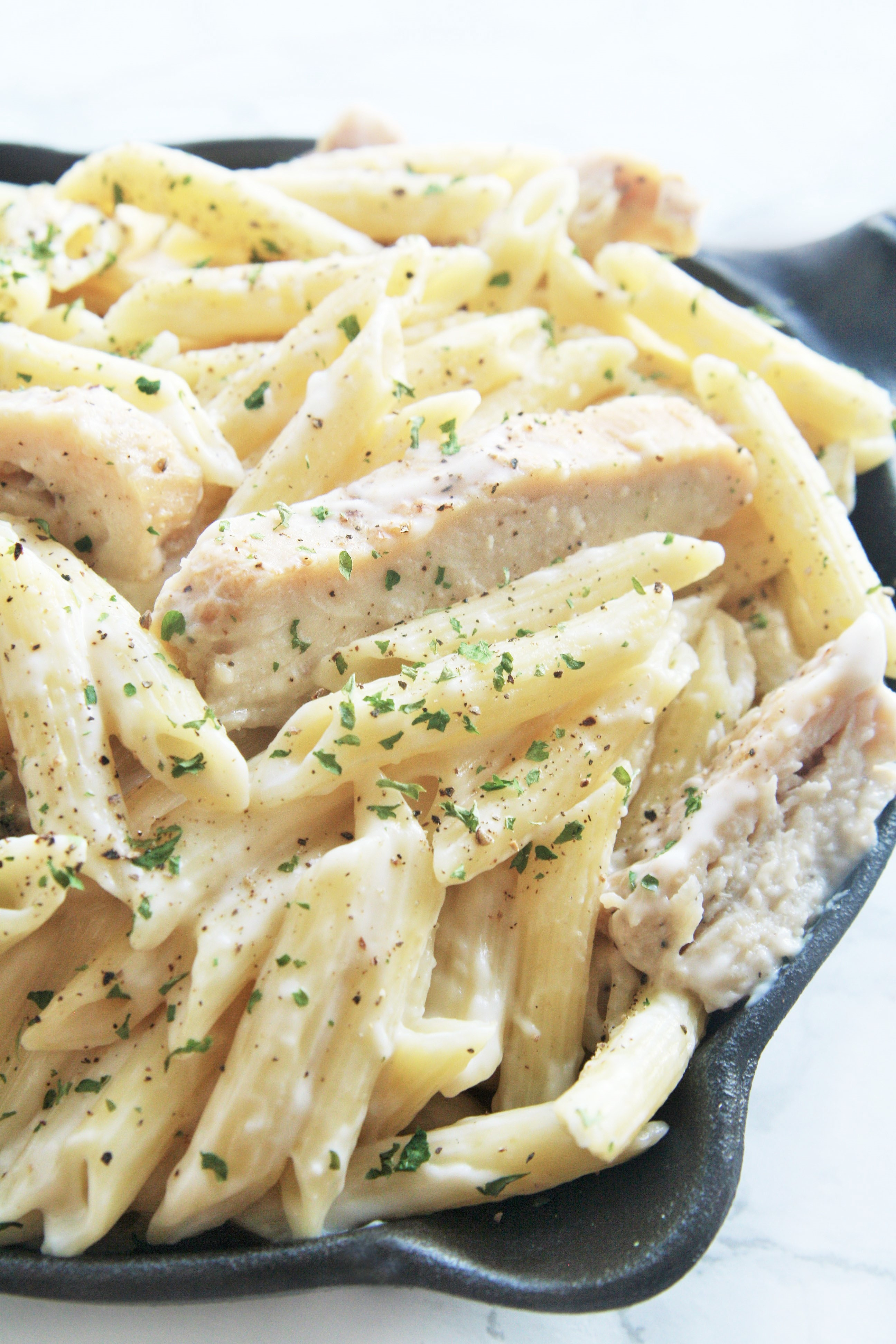 Grilled Chicken & Alfredo Penne Pasta