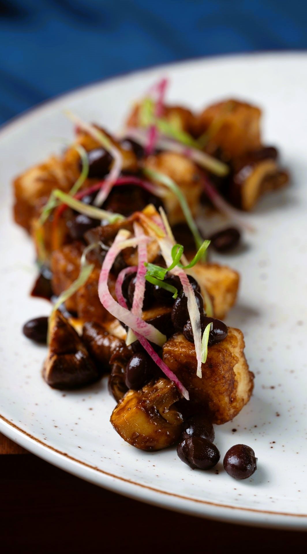 Ma Po Tofu