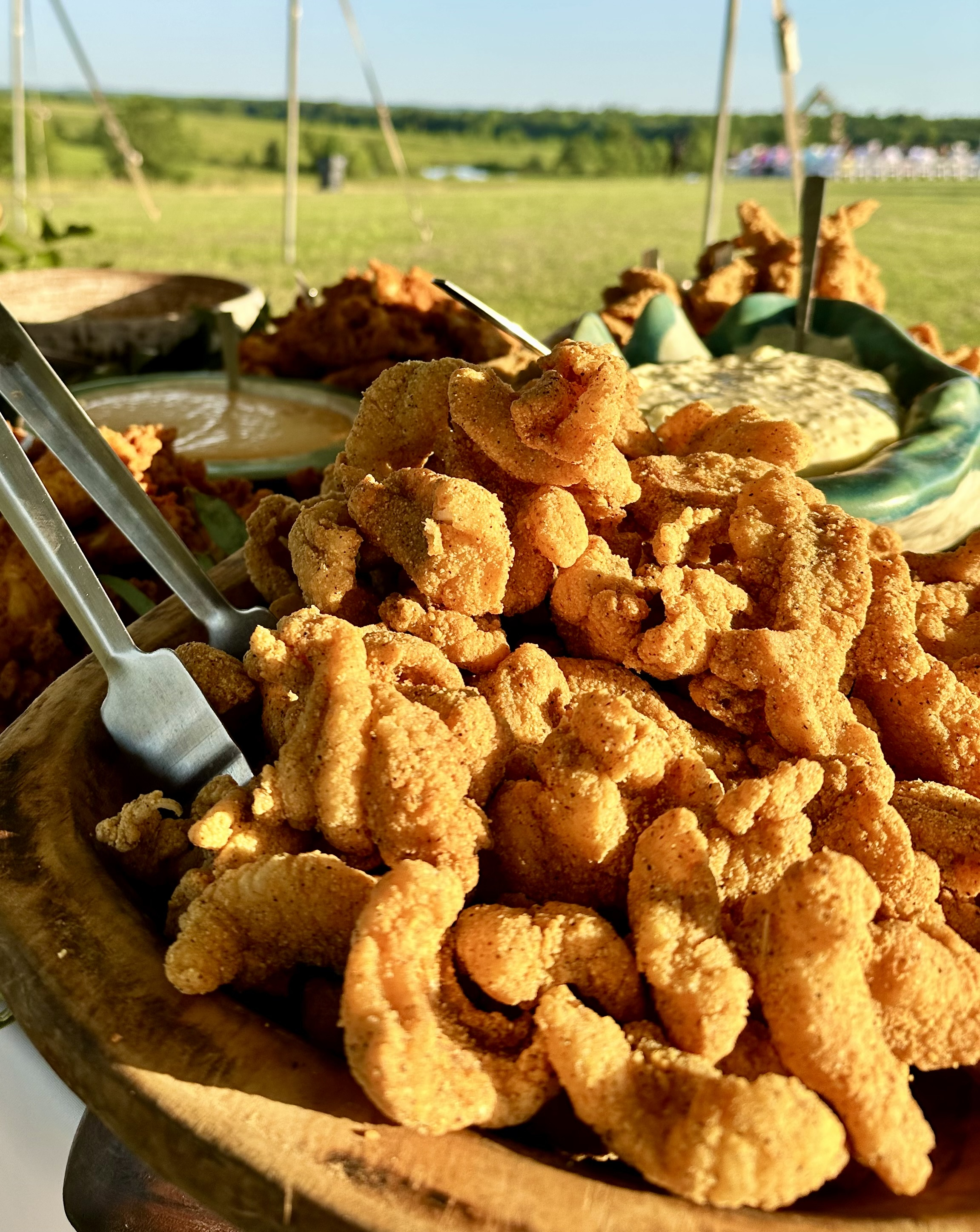 Mississippi Farm Raised Catfish Fillet Nuggets