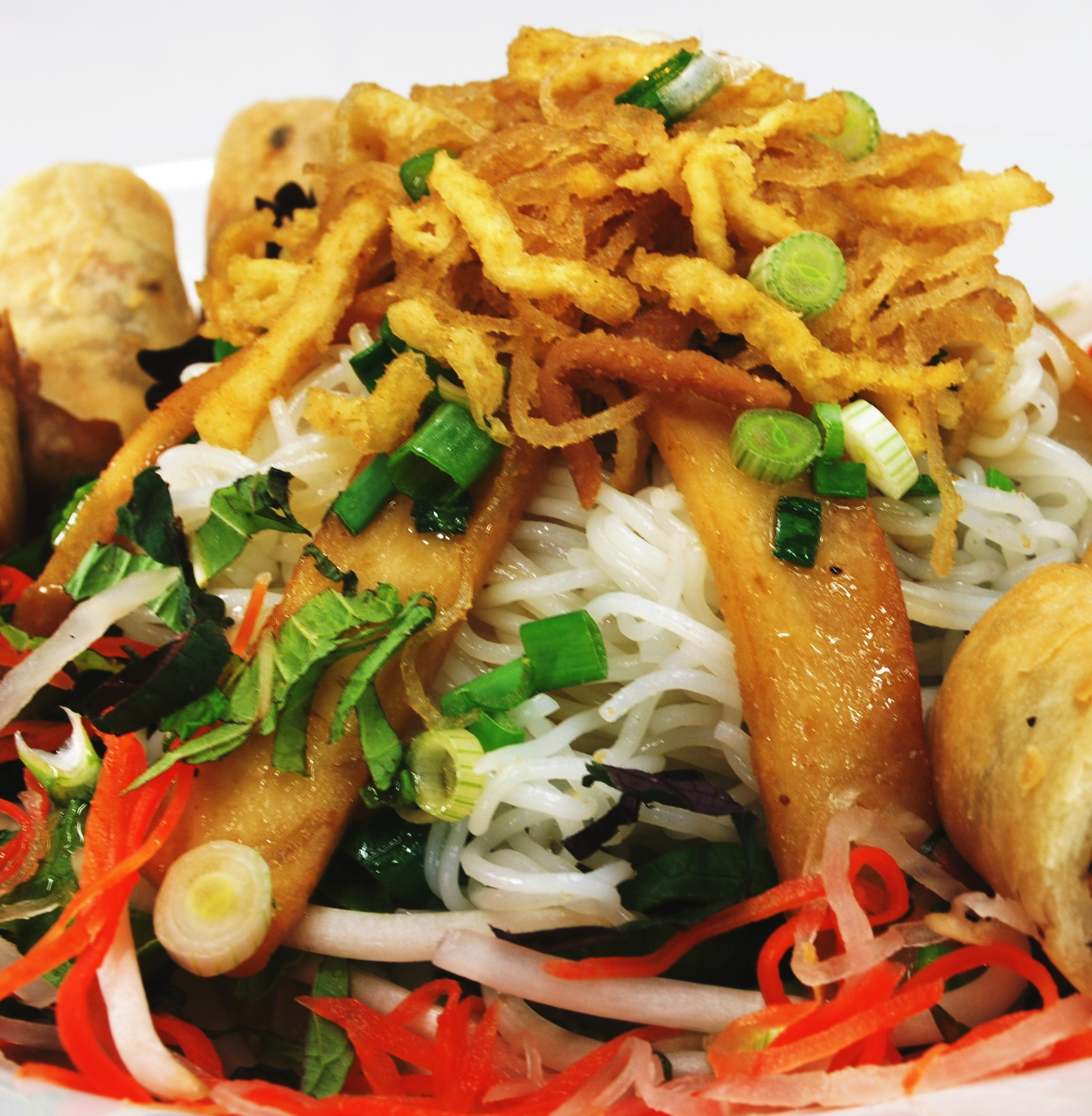 Spring Noodles - Small